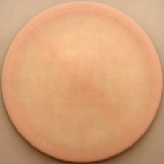 Bronze Shield